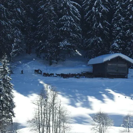 Apartment Blockhaus Ganschitter