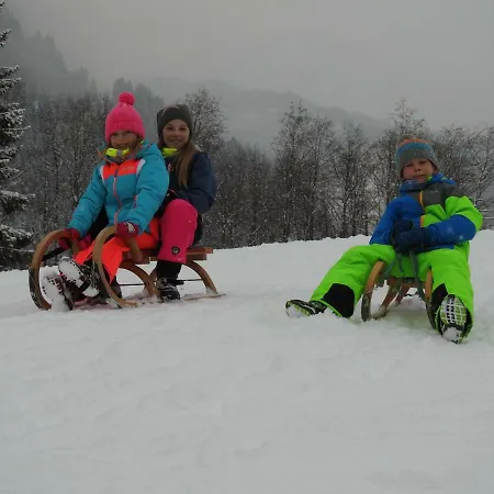 Blockhaus Ganschitter Apartamento Grossarl