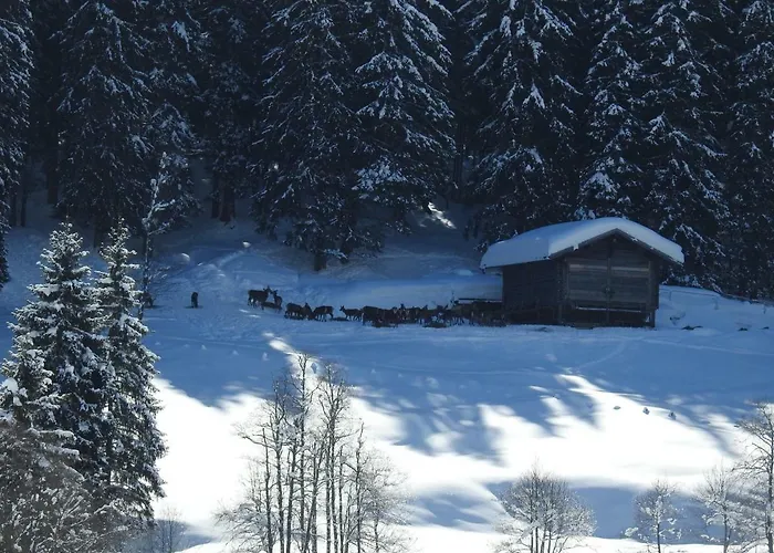 Affittacamere Blockhaus Ganschitter
