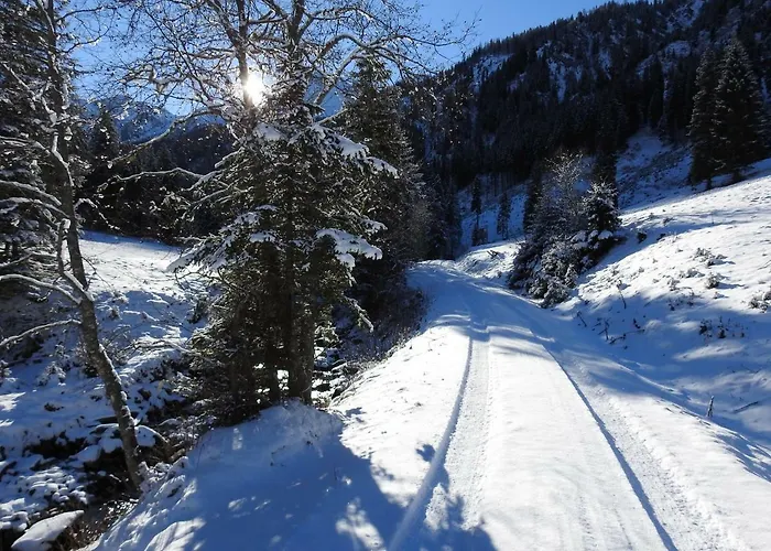 Pensionat Blockhaus Ganschitter Grossarl