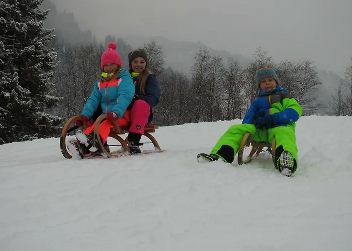 Blockhaus Ganschitter Pensionat Grossarl