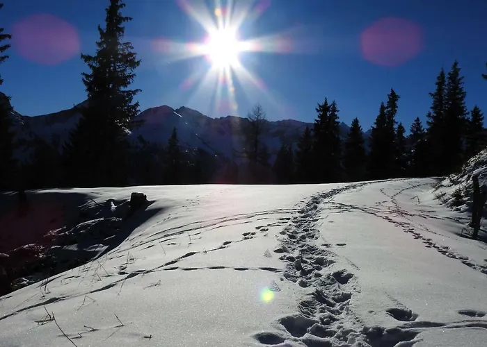 Blockhaus Ganschitter 3* Grossarl